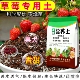 草莓专用土有机营养土通用型绿植花卉泥炭土家庭园艺土阳台盆栽土