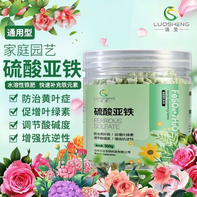 硫酸亚铁肥料铁肥杜鹃花蟹爪兰铁树叶子黄喜酸植物蓝莓专用肥黄叶