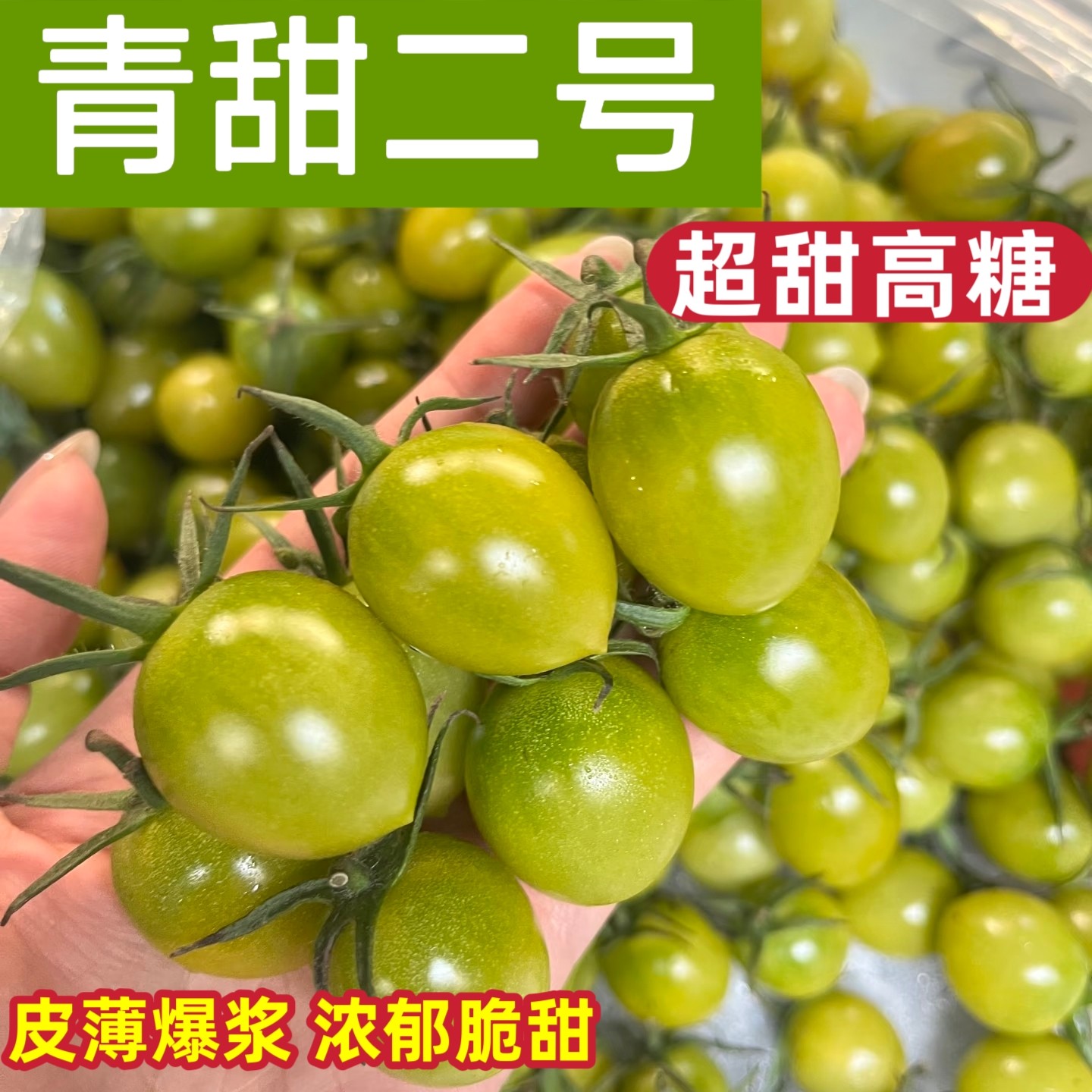 青甜二号小番茄苗绿色小番茄脆甜四季蔬菜种苗梦想青甜2号绿宝石
