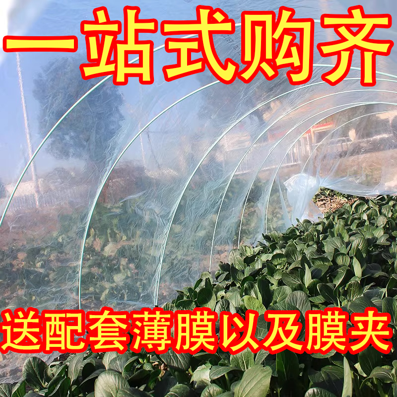 玻璃纤维杆小拱棚支架拱杆菜地小拱棚农用薄膜 农机/农具/农膜 温室大棚支架 原图主图