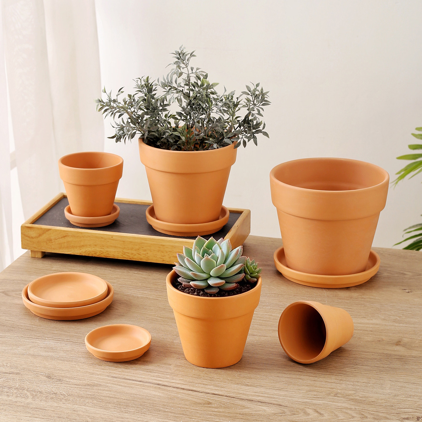 红陶盆陶土花盆带托盘多肉盆栽透气陶盆简约陶瓷花盆特价厂家直销,鲜花速递/花卉仿真/绿植园艺,花盆,淘宝优惠券,粉丝福利购,淘宝优惠卷