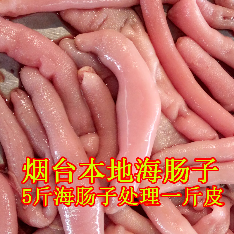 海肠子鲜活烟台鲜活沙蒜海葵海肠子海卵子沙虫250g海鲜水产满包邮