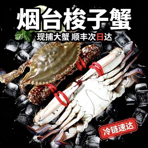 梭子蟹活鲜飞蟹螃蟹顺丰次日达