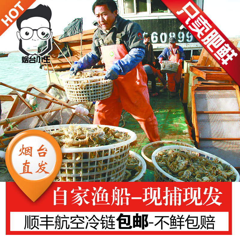 皮皮虾鲜活烟台海鲜野生虾爬子虾姑大虾活虾海虾水产超大濑尿虾