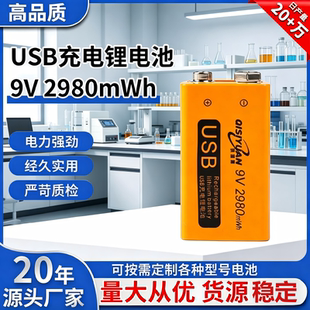 淇思渊9V可充电锂电池2980mWh众多数码设备和工具通