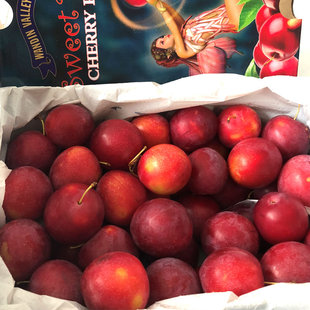 澳洲进口樱桃李礼盒装40-44水果纯甜凤凰血丝李子原箱春节年货