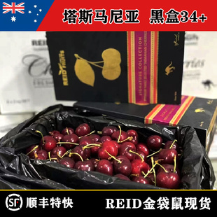 澳洲塔斯马尼亚reid金袋鼠车厘子36 黑金礼盒礼帝黑车6J空运水果