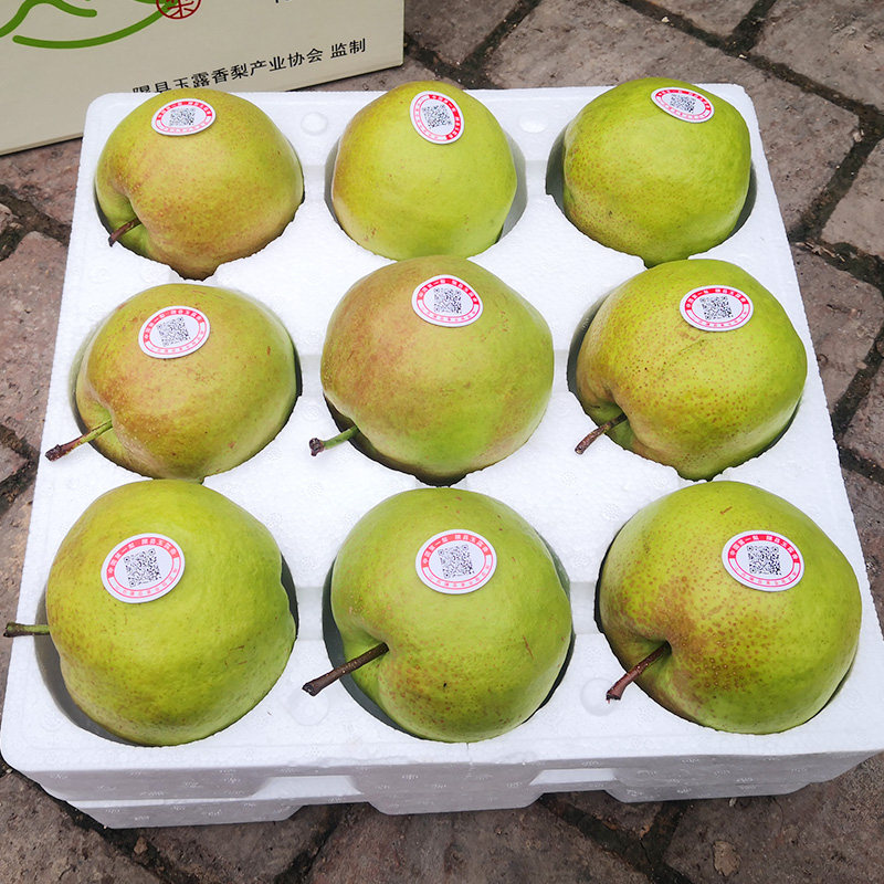 山西隰县玉露香梨特级9颗装礼盒 纯甜非秋月梨子中秋礼品顺丰包邮