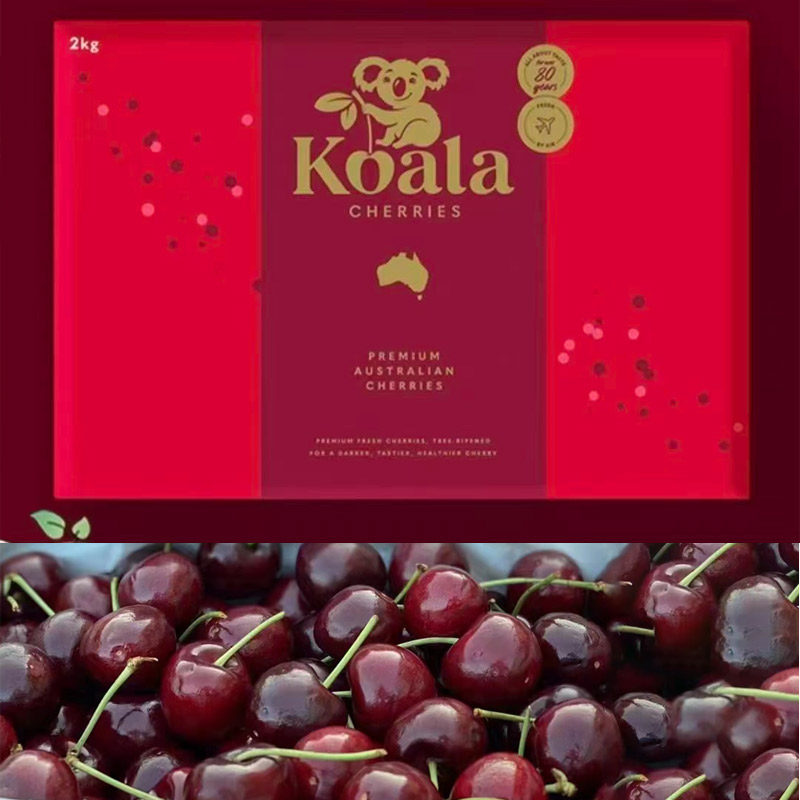 新鲜到货金考拉澳洲车厘子包邮