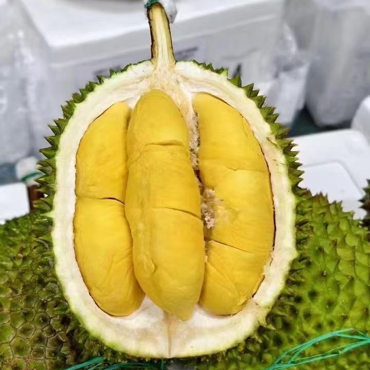 马来西亚进口鲜果猫山王榴莲D197包五房3A新鲜非液氮冷冻年货包邮