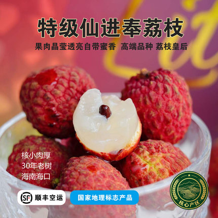 特级仙进奉荔枝礼盒装海南30年老树核小肉厚端午高端水果顺丰空运