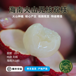 响鲜海南火山无核荔枝礼盒装新鲜现摘纯甜产地直发顺丰空运包邮