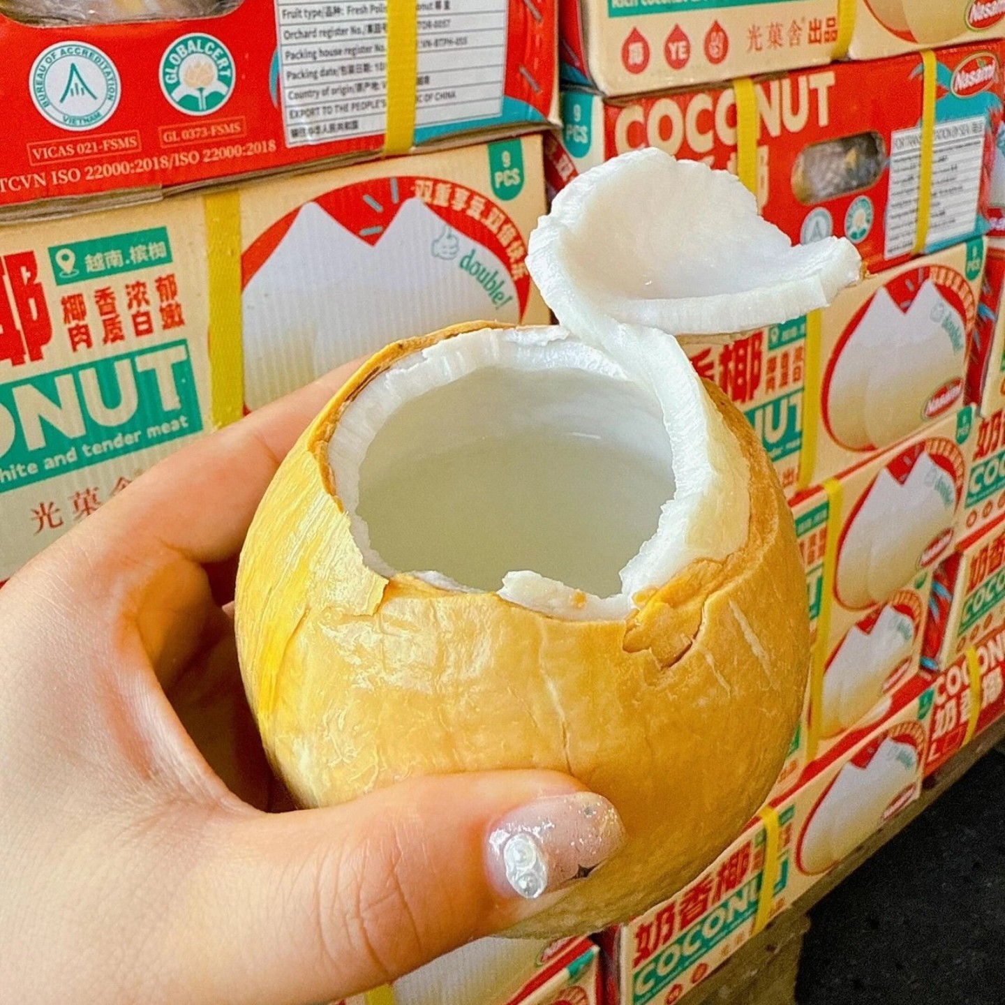 越南进口奶香椰皇9颗整箱装老树香水椰汁大果新鲜椰子果顺丰包邮