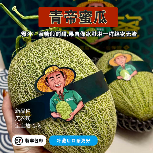 甘肃青帝蜜瓜2颗礼盒装