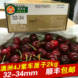 澳洲reid金袋鼠车厘子礼盒32 进口塔州黑车大果simone西蒙顺丰