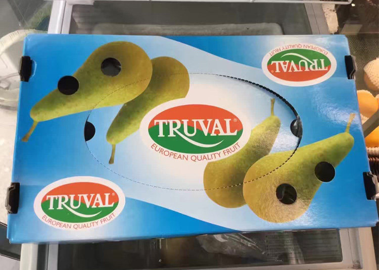 新鲜现货truval啤梨18-26个荷兰长把啤酒梨宝宝软梨顺丰包邮