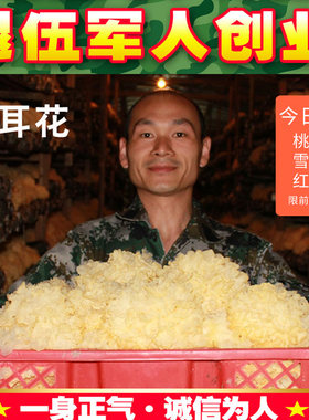 高山大银耳花500克无硫磺
