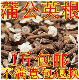 长白山野生蒲公英根中药材黄花地丁根500克包邮品质保证
