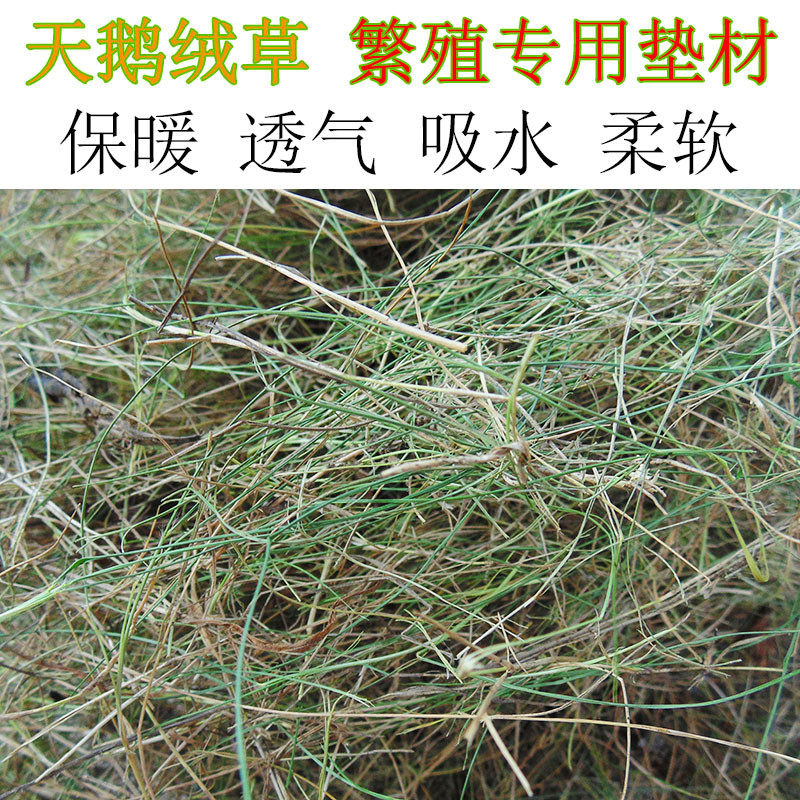 热卖天鹅绒/干草/取代繁殖木肖/保温刨花/鹦鹉用/自己筑鸟窝材料.