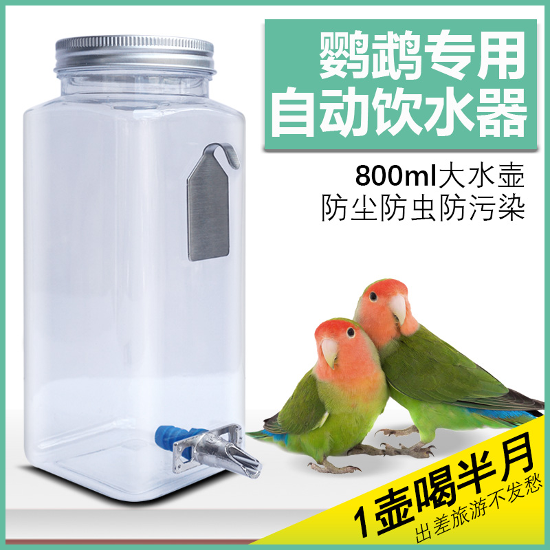 鹦鹉自动饮水器撞针水壶800ml大容量牡丹/玄凤兔子龙猫喝水器包邮