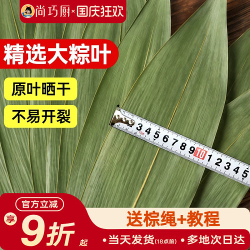 展艺粽子叶干棕叶大号新鲜包粽子新竹叶diy材料端午家用商用批发