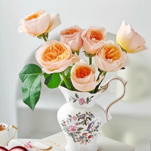 英国Aynsley安斯丽红玫瑰雀鸟骨瓷高档轻奢花瓶客厅摆件大型花瓶