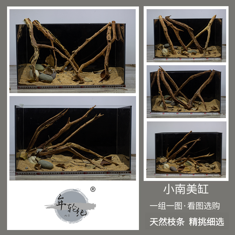 小鱼木头套餐南美懒人装饰造景