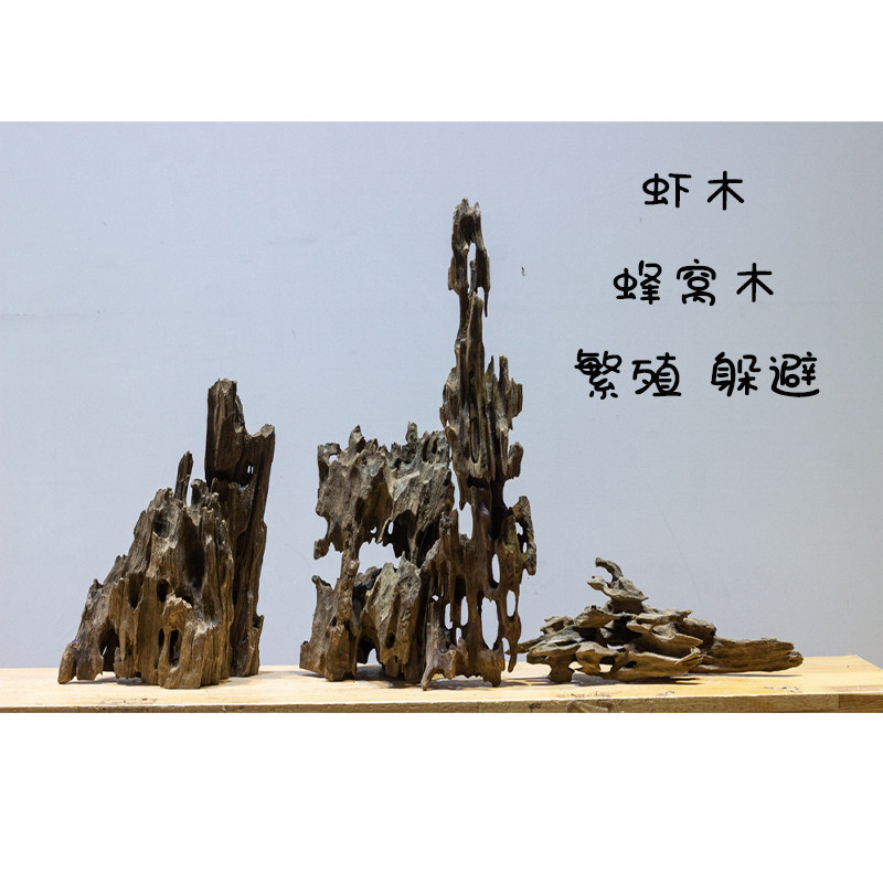虾木沉木多孔天然镂空蜂窝沉木小鱼虾躲避窝产卵洞巢穴鱼草缸造景