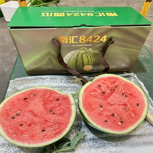 上海南汇正宗8424西瓜头茬黑籽