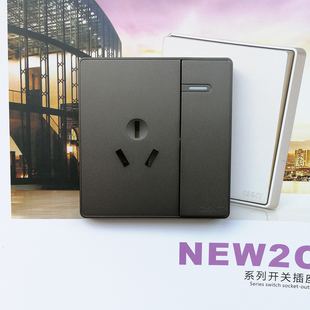 正泰开关插座 NEW2C一开单控三孔16安带钢架深灰色空调大功率插座