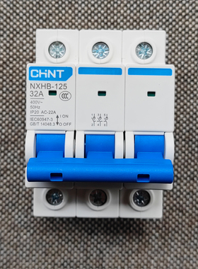 正泰NXHB-125小型断路器 配电箱隔离开关NXHB-125 3P 32A 三极32A