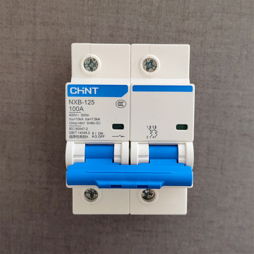 正泰NXB-125小型断路器 配电箱总开断路器2P100A NXB-125 2P C100