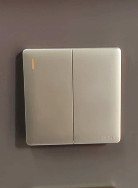 正泰二开多控 NEW2N-07202香槟色二开多控开关 大板二开多控金色