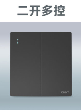 正泰高级灰二开多控 NEW2-H07206二开多控开关高级灰色带钢架