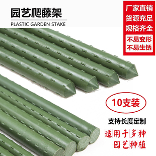 户外爬藤架子攀爬杆子防倒植物支撑杆葡萄架月季黄瓜豆角庭院院子