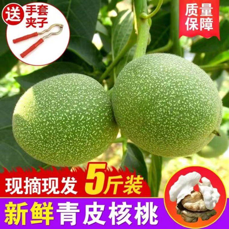 青皮核桃新鲜去皮核桃薄皮湿核桃大果绿皮核桃山东芍药山核桃5斤