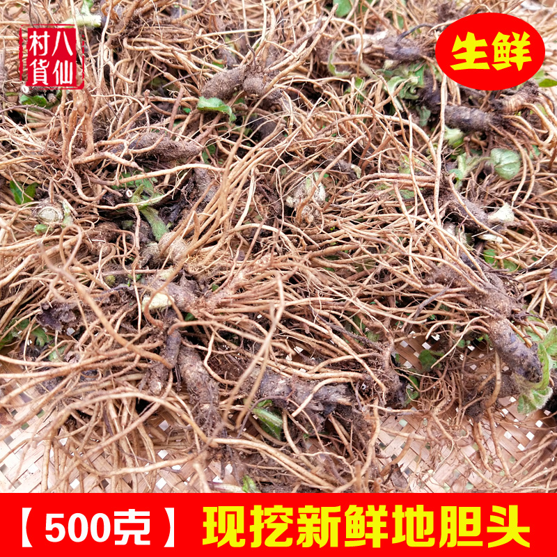野生地胆头新鲜地胆草纯根中药材苦地胆丁茄夫坐地娘煲汤料地胆头
