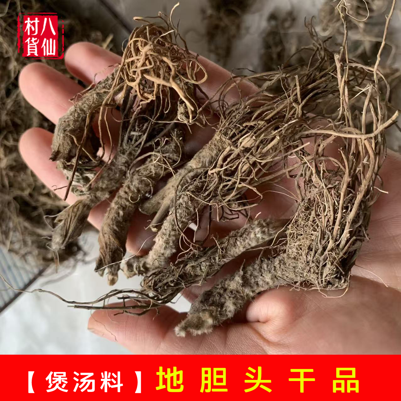 新晒野生地胆头 矮脚地胆草磨地胆  煲汤料山草药材红花地胆头