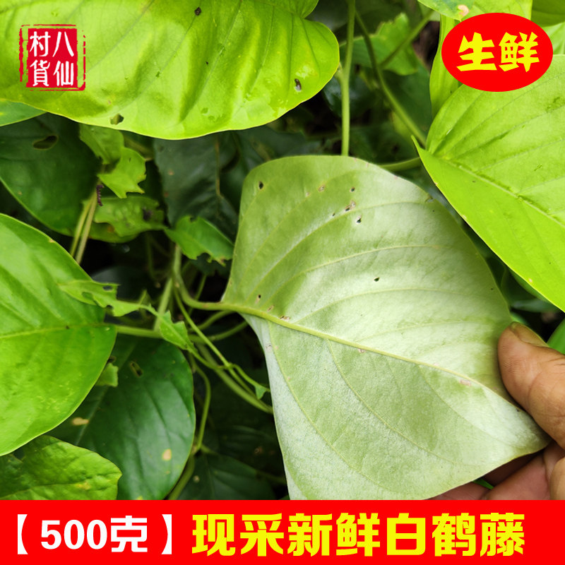 新鲜白鹤藤 白背丝绸一匹绸银背藤绸缎藤 中草药白面水鸡白底丝绸