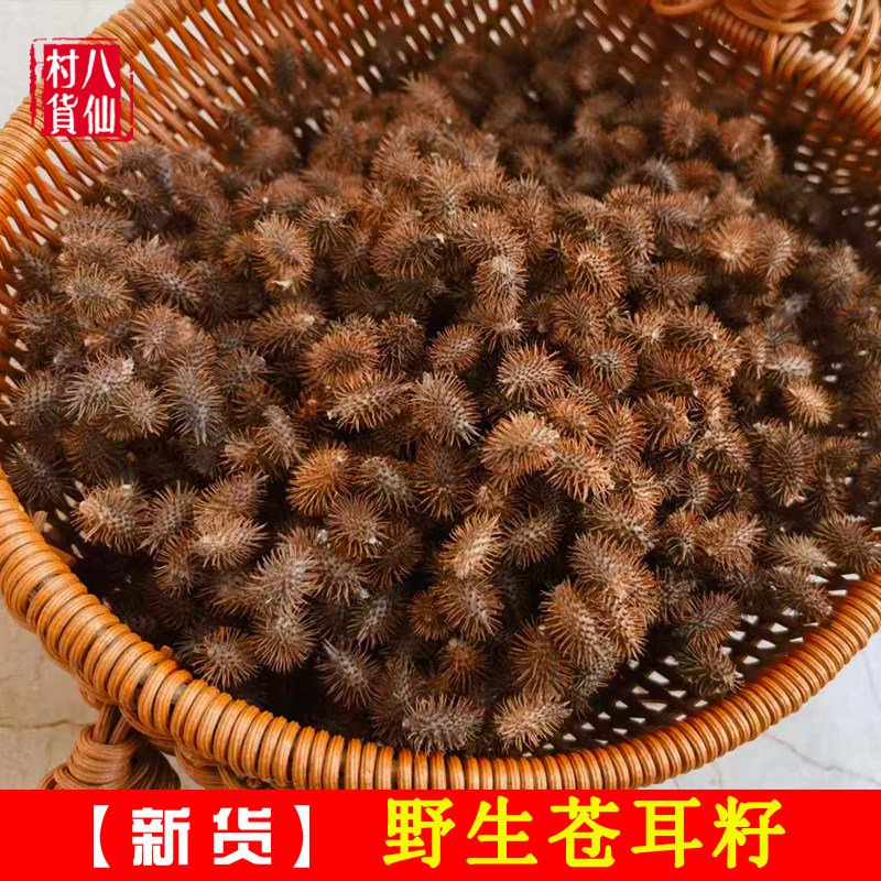 野生苍耳子农家自摘新货带刺仓耳子熬水泡脚苍耳鼻炎中药材苍耳籽