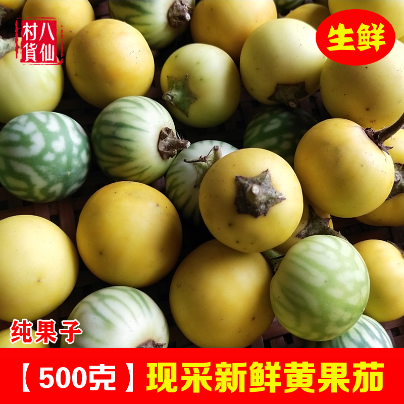 新鲜刺天茄黄果茄 中草药 牙疼果牛茄子野茄果刺颠茄果子500克