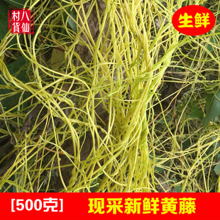 新鲜无根藤野生黄藤无娘藤现采无爷藤菟丝子中草药材金丝藤无根草