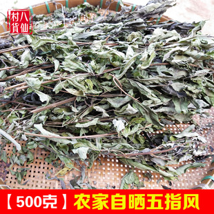 农家自晒五指枫 新鲜牡荆枝叶 中药材五指风黄荆干品  洗澡山草药
