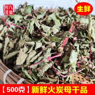 火炭母草 中药材火炭星 赤地利 新鲜火炭藤干白饭藤信饭藤 火炭母