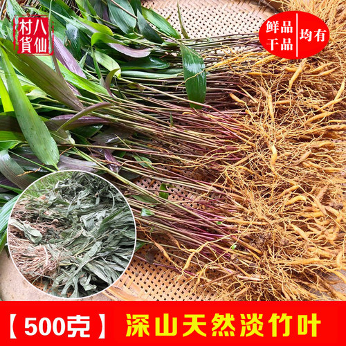 现挖新鲜淡竹叶中草药材淡竹叶根