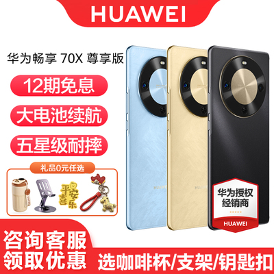 华为畅享70X尊享版12期免息