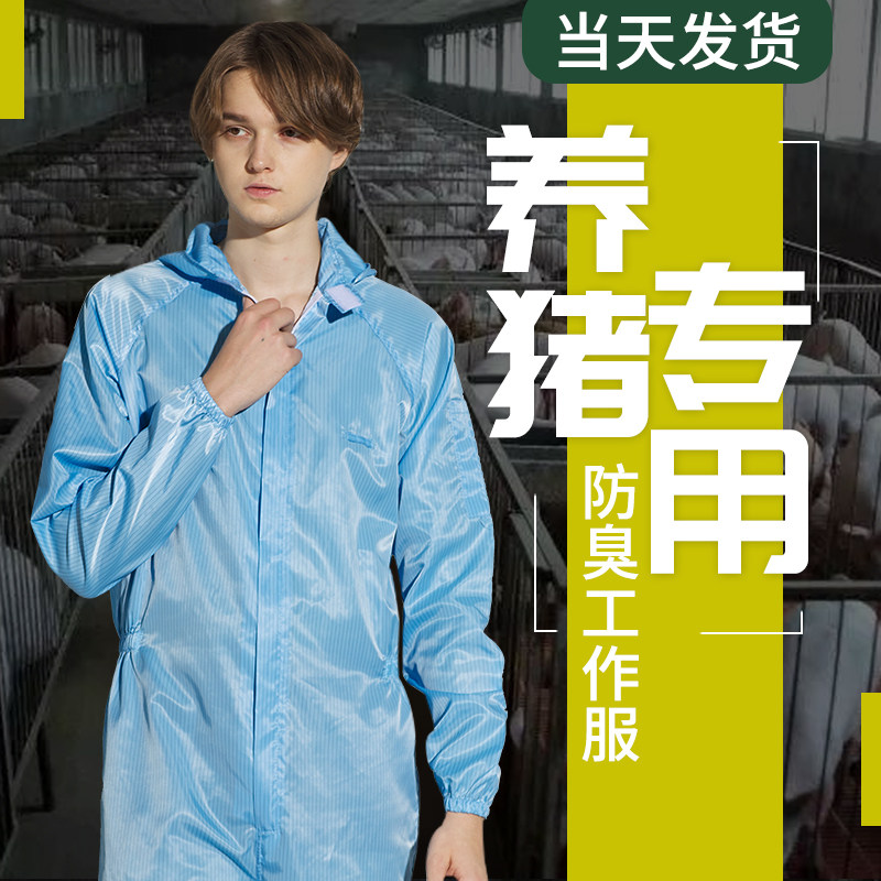 养猪隔离专用连体高温消毒防护服图片
