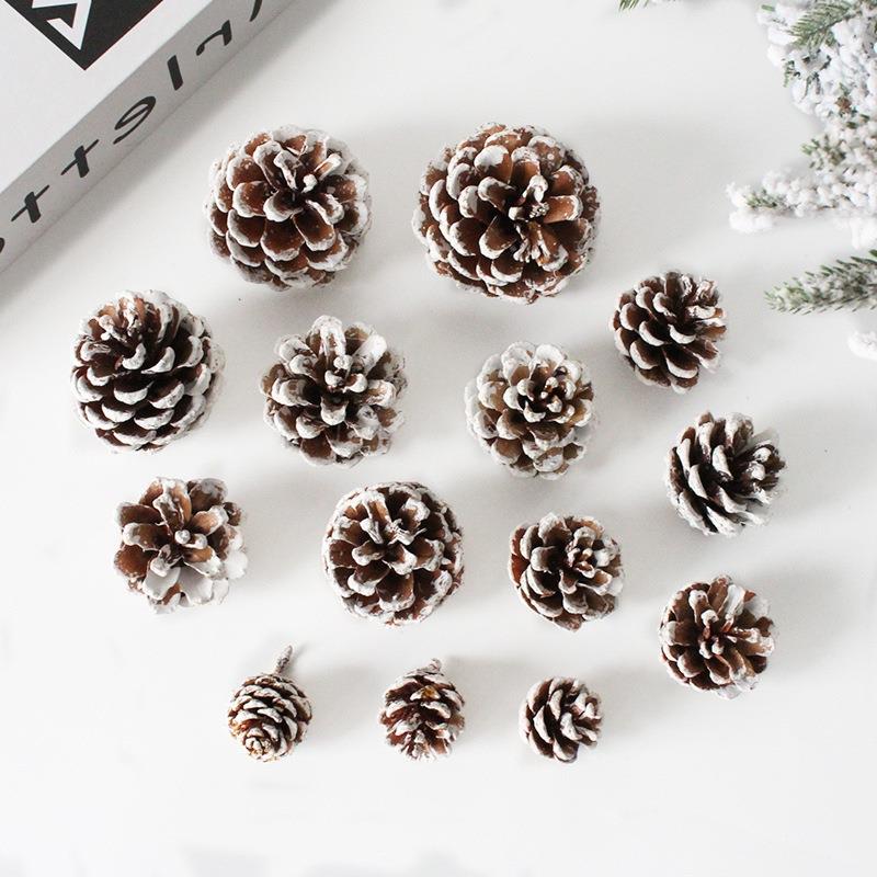 圣诞树装饰染白松果干花DIY创意材料雪松果 油松 美国松 沾白松果
