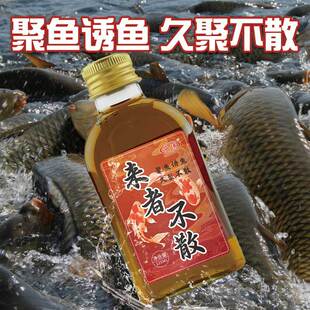 鱼诱来者不散垂钓用品钓鱼渔具饵料添加剂窝子伴侣鲫鱼鲤鱼药小药