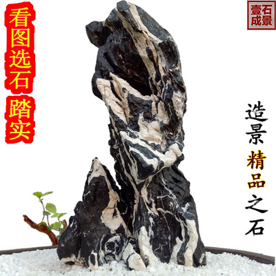 青龙石头酸洗山峰水族箱鱼缸大小